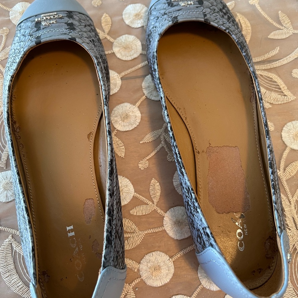 Coach Blue and Black Flats with Classic Silhouette